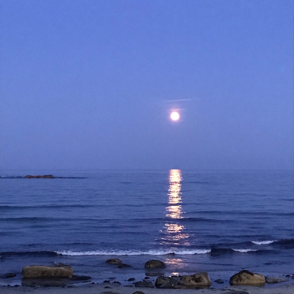 Meet your Posher, Valeri